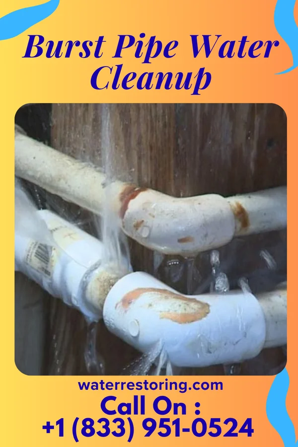 Burst Pipe Water Cleanup in Harbor Isle, NY