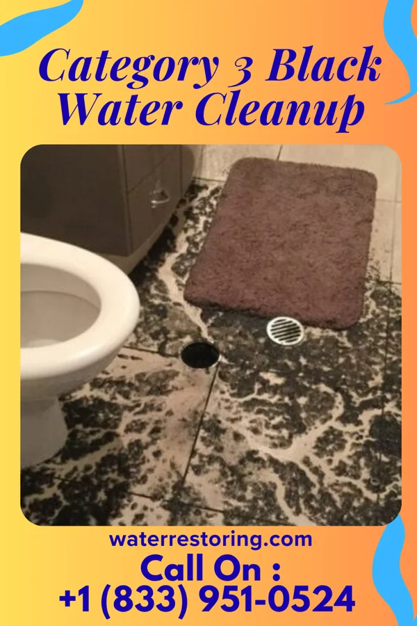 Category 3 Black Water Cleanup in Harbor Isle, NY