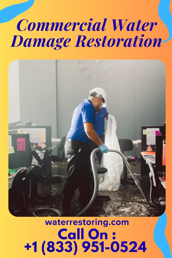 Commercial Water Damage Restoration in Harbor Isle, NY
