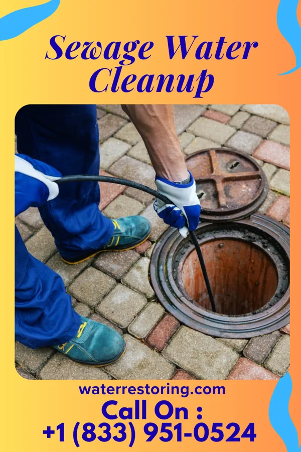 Sewage Water Cleanup in Harbor Isle, NY
