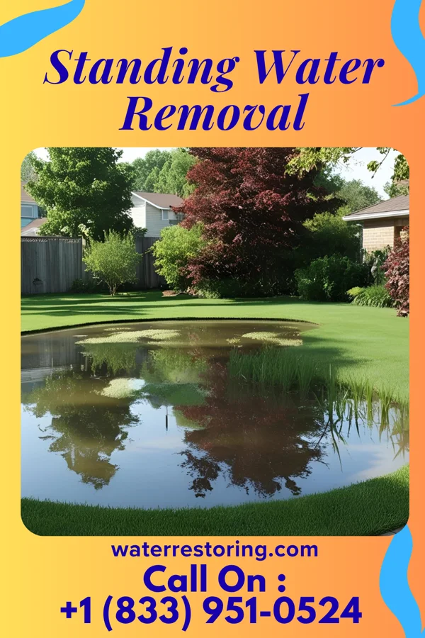 Standing Water Removal in Harbor Isle, NY